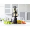 JS 8012 Slow juicer Catler