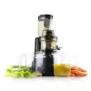 JS 8012 Slow juicer Catler