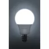 RLL 405 A60 E27 bulb 9W DL RETLUX